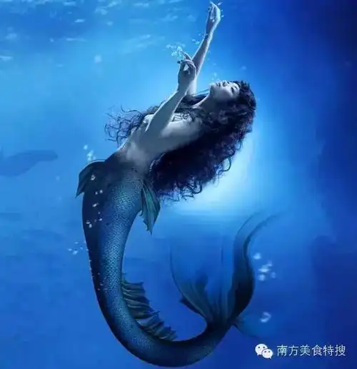 吃货天下美人鱼能吃吗怎么吃好吃吗
