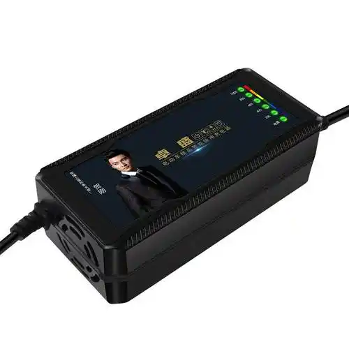 立马电动车充电器两孔反插48v12ah60v20ah72v30a专用正品接口原装电动