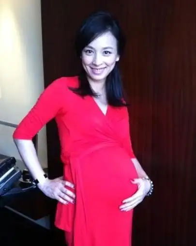 张庭微博晒著红裙大肚照 公布再度怀孕