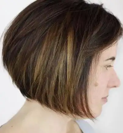 浅色高光-金色,金色,焦糖色-与栗色真正的栗色中的深棕色和微妙的红色