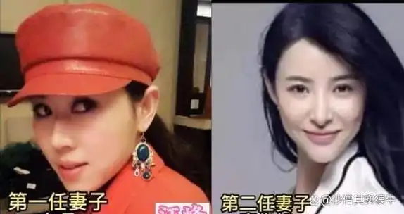 几位曾多次结婚的男星汪峰妻子一个赛一个的漂亮是最大的赢家