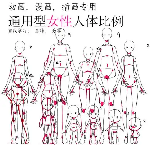 通用型女性人体的比例2-9头身