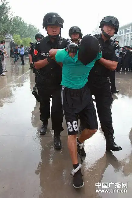 银川"5·31"持枪抢劫杀人案犯罪嫌疑人被押解回宁