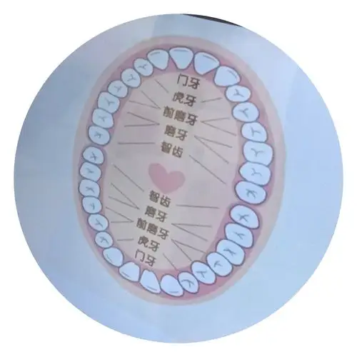 通过讲解,孩子们知道自己有多少颗牙齿,每一颗牙齿的名字等等