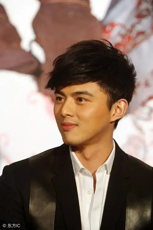 中国内地男演员:叶祖新_新浪看点