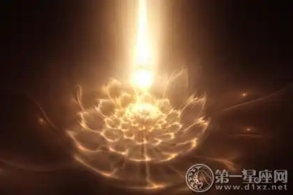 佛教象征物,佛教莲花图片大全