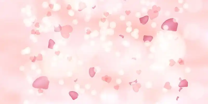 粉色简约唯美清新渐变花束展板背景情人节花瓣鲜花背景花瓣素材粉色飘