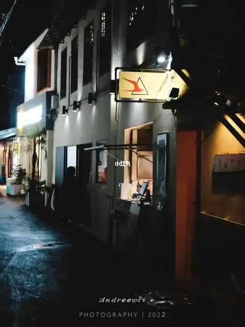 初识tripsmith还是在重庆的紫薇路店精酿性价比高炸薯条炸鸡也都好吃