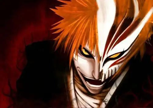 ichigo kurosaki et son hollow.n°2