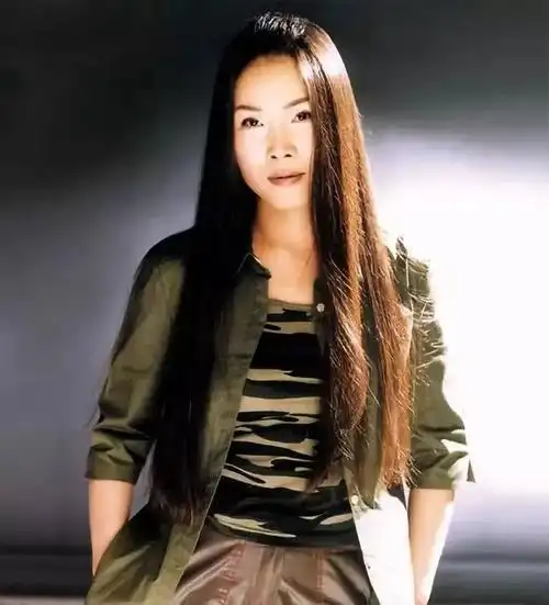 田震消失是娱乐圈的悲哀