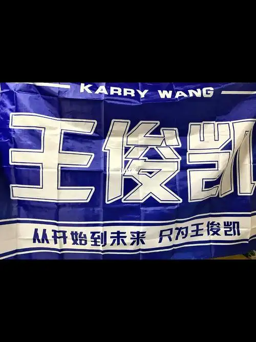 王俊凯应援大旗