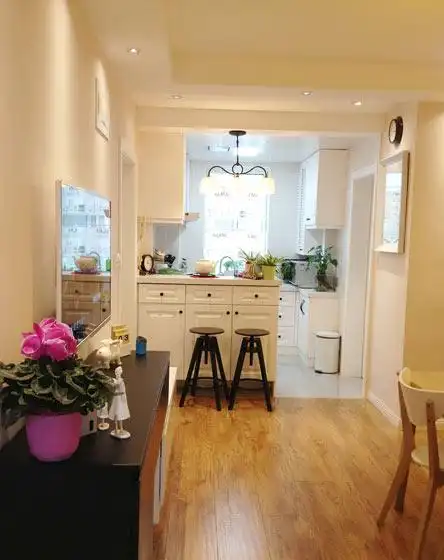 50平米两室一厅装修效果图