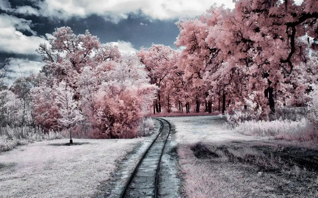 大自然的唯美意境风景