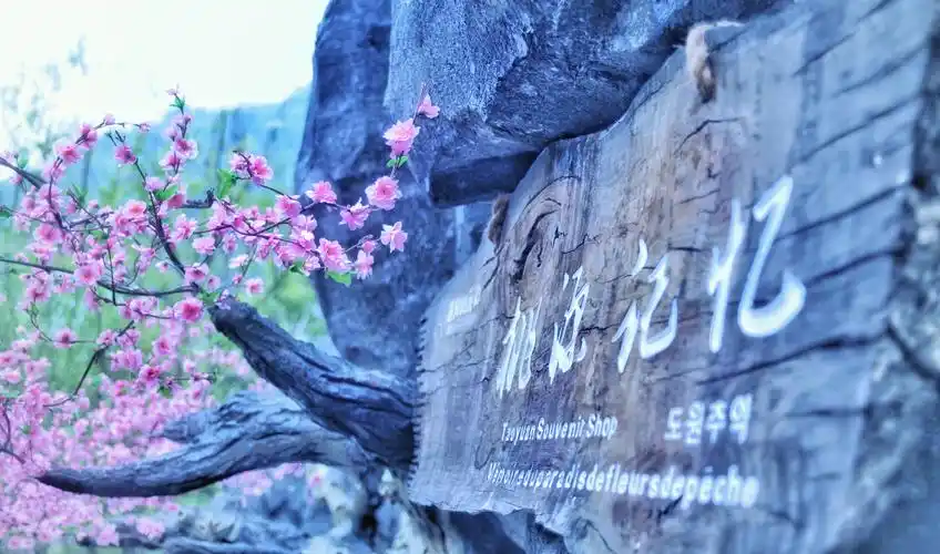 桃花源旅游景区
