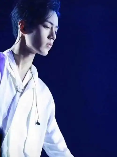 肖战能不能再摇一次花手给我看跪下求你