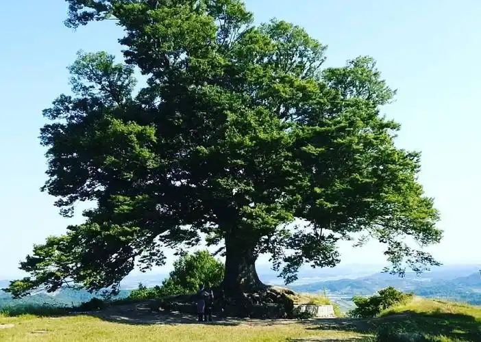 德鲁纳酒店人气爆棚取景地成热门