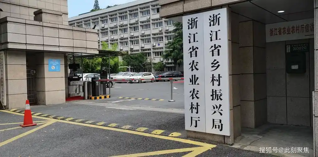 据浙江省农业农村厅发展与规划处处长吴新民介绍,在增加农民财产性
