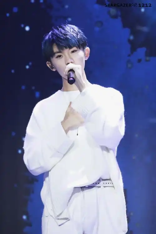 马嘉祺楼非楼演唱会