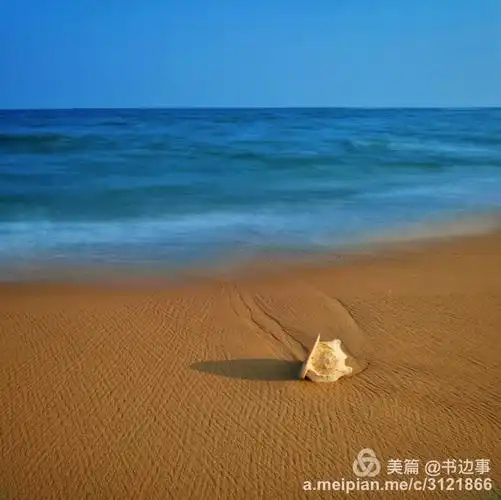 海边拾贝(手机随拍)