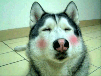 脸红羞涩萌萌哒羞涩gif动图_动态图_表情包下载_soogif