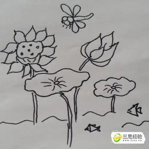 蜻蜓戏荷塘幼儿简笔画
