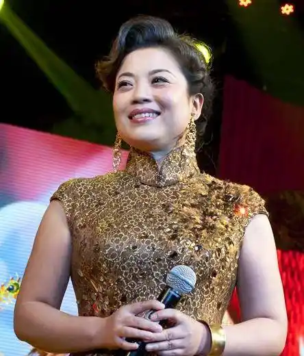 张也:干妈女歌手,登25次舞台,分手后至今未婚无子女_父亲_时候_关锦鹏