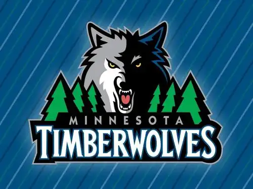 明尼苏达森林狼壁纸高清原图下载,明尼苏达森林狼壁纸,高清图片 - ipa