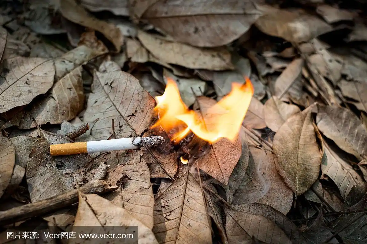 近距离不吸烟的烟头被随意扔到地上的干草上造成危险
