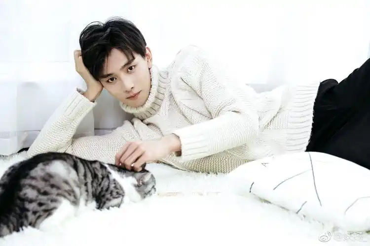 妖扬- 堆糖,美图壁纸兴趣社区