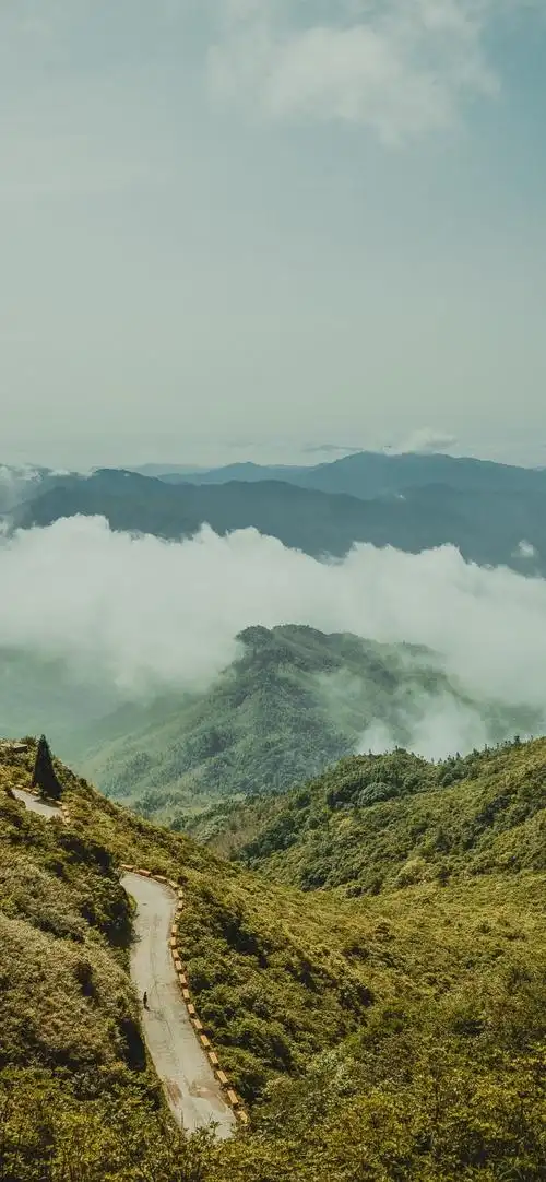 云海围绕的绿色大山,大山间的公路风景,高清图片,手机壁纸