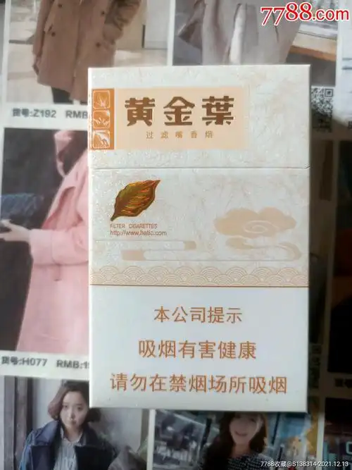 河南黄金叶16版劝阻