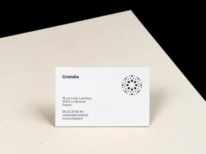 30款国外简约精致的名片设计2