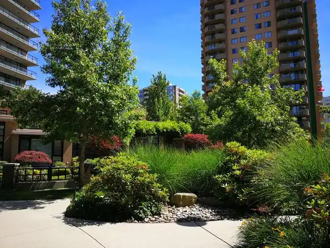 森林公园真是小动物的乐园