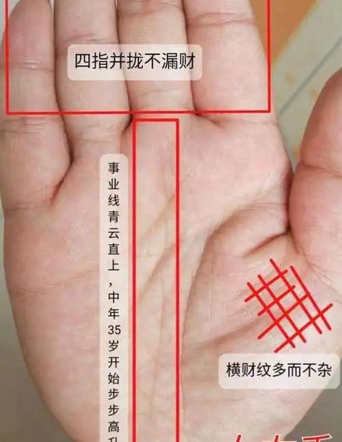 财运最好的几种手相富贵女人手相介绍女人有福气的手相 第1页