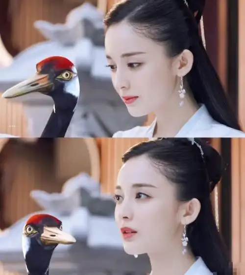 一个版本美艳动人,另外版本看一眼就让人难忘|古力娜扎|古天乐|剧照