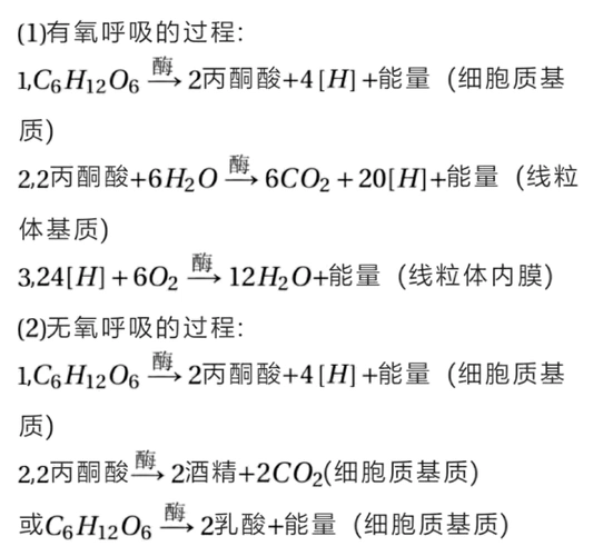 [解析] [分析] 根据题意分析可知,该题考查细胞的有氧呼吸和无氧呼吸
