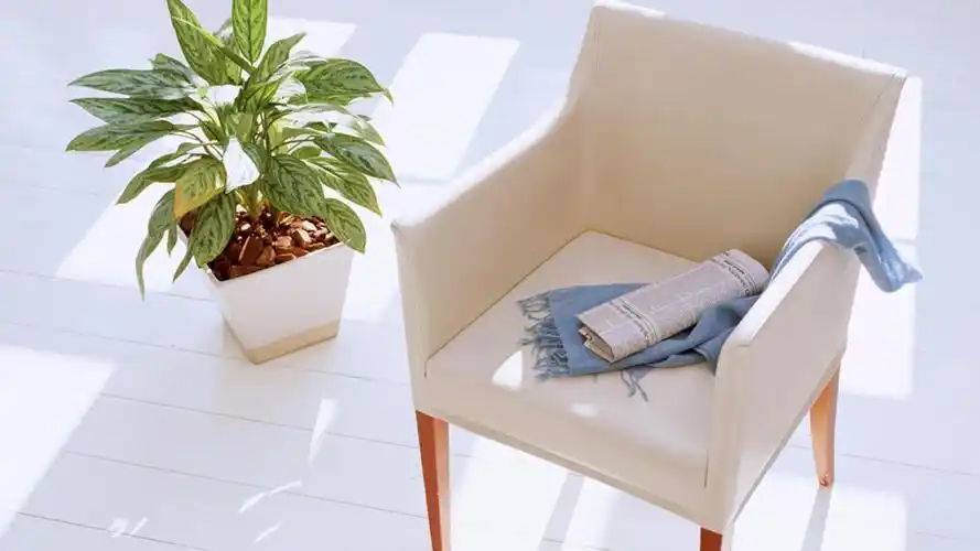 浅言拙见,谈谈照顾老人 - 简书