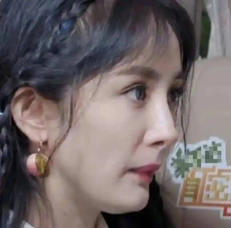 侧面生图更加直观,如图,杨幂的瘪嘴更突出了,脸上的法令纹,也暴露了她