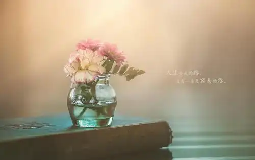 2020年最新早安心语图片,高清图片,壁纸,创意设计-桌面城市