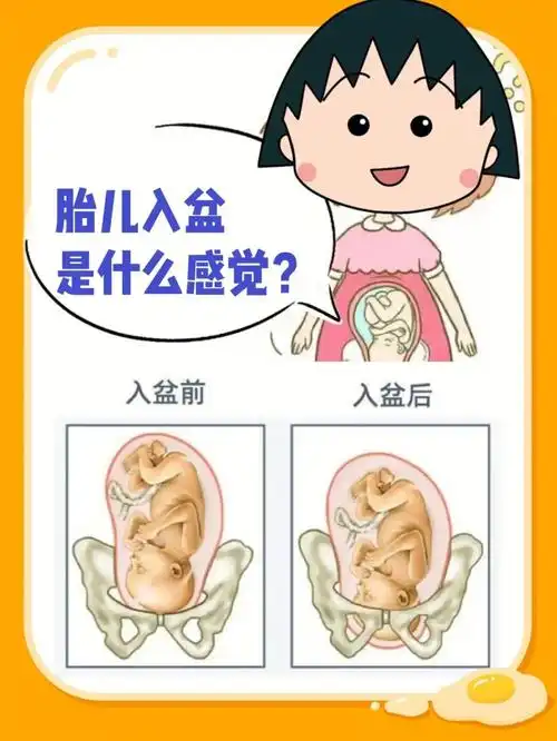 郑州圣玛73胎儿入盆征兆你一定要了解75