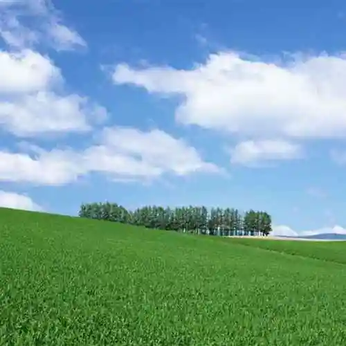 蓝色天空197961503头像