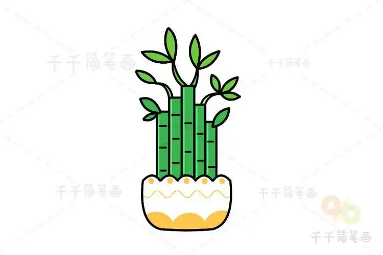 富贵竹简笔画画法教程盆栽简笔画