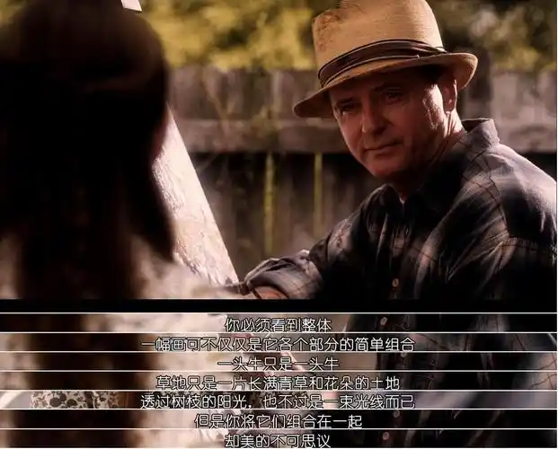 斯人若彩虹,遇上方知有.经典电影影评《怦然心动》 - 美篇