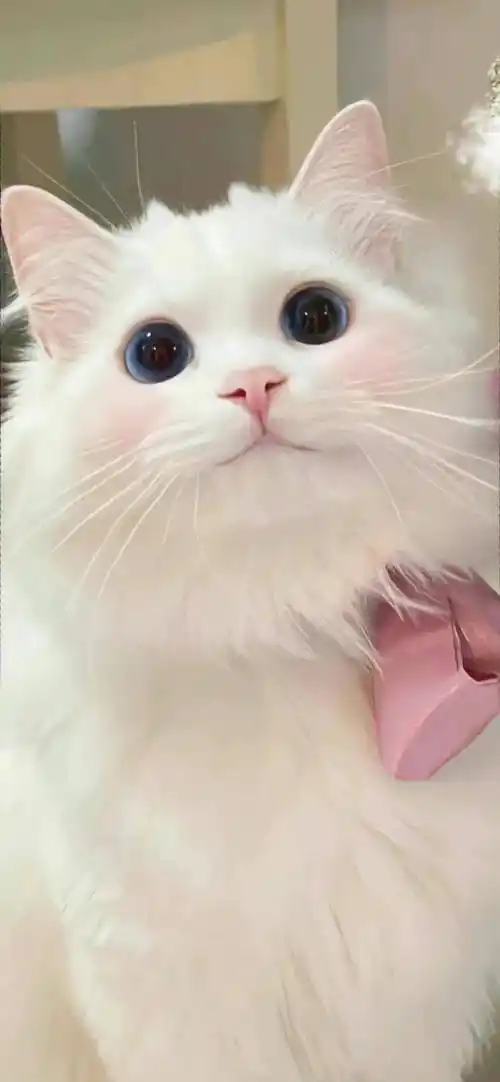 壁纸最近爱用的锁屏壁纸