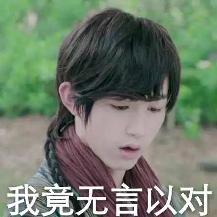 旋风少女2郭俊辰男孩我竟无言以对gif动图_动态图_表情包下载_soogif