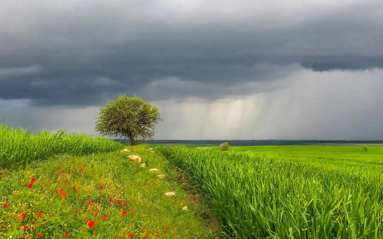 梦幻唯美自然风光图片高清壁纸