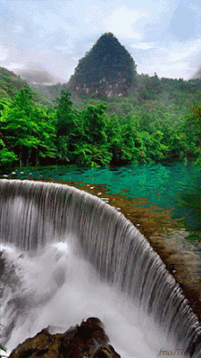 225_400gif 动态图 动图