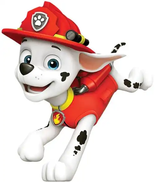 汪汪队陪你过暑假!