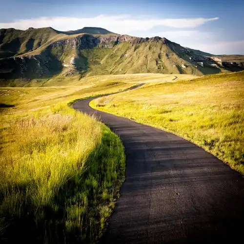 会员登录可下载 1024 无水印图片