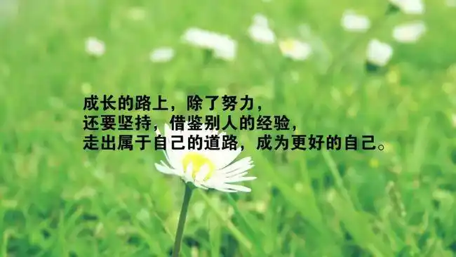 微信激励人心的正能量励志语录